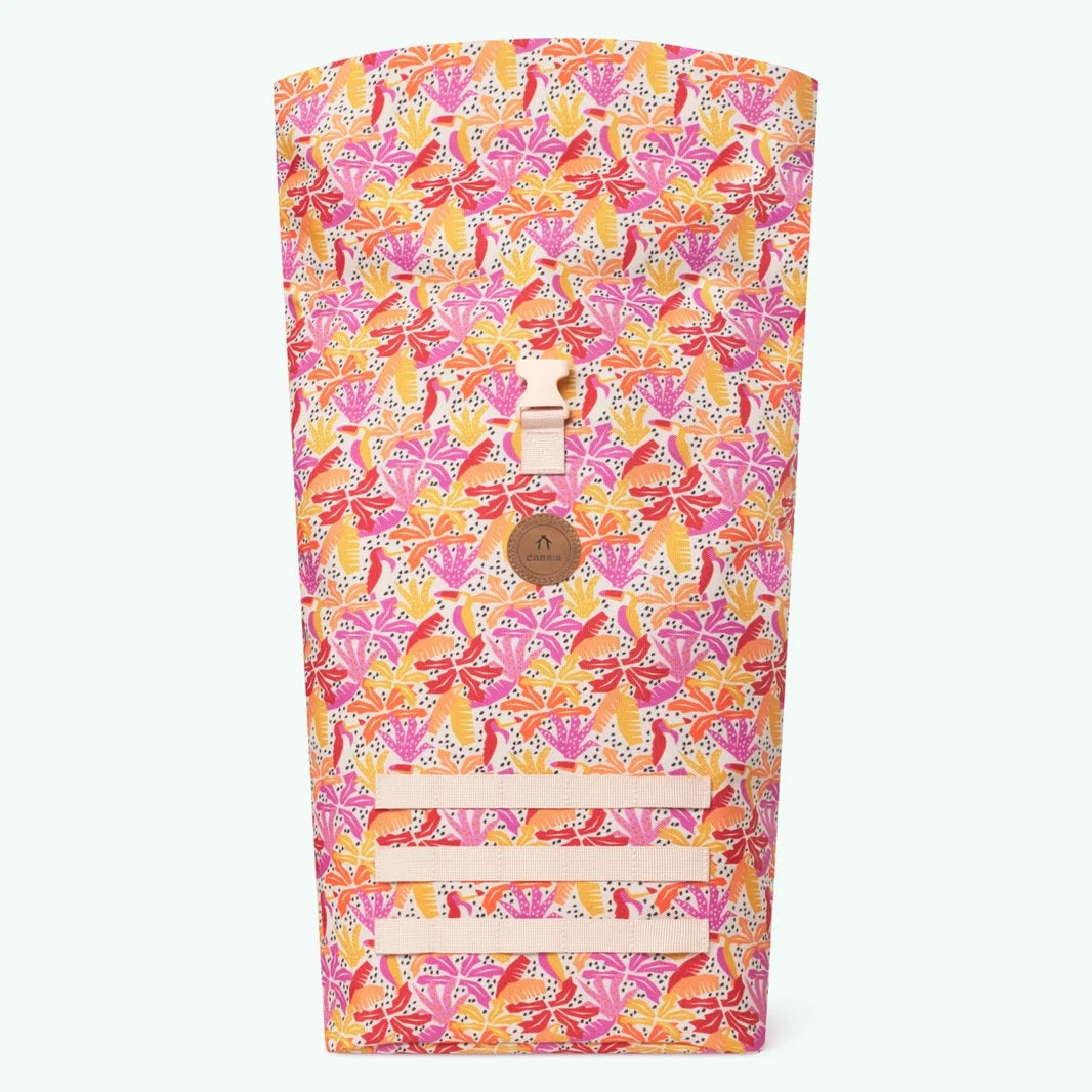 Starter M Mendoza Rosa