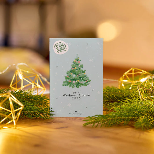 ST Fichten-Saatgut "Weihnachtsbaum 2030"
