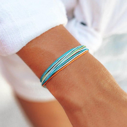 PV Brc Charity Coral Reef