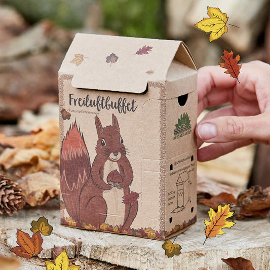 ST Freiluftbuffet Eichhörnchen