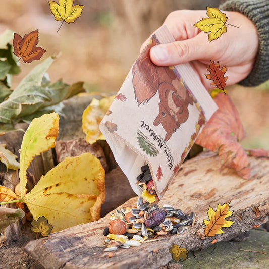 ST Kleine Mahlzeit Eichhörnchen