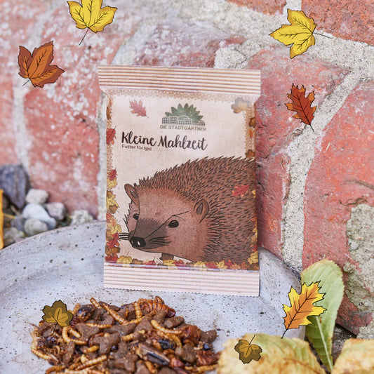 ST Kleine Mahlzeit Igel