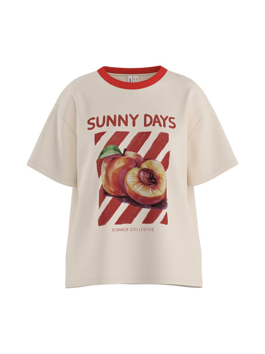 HDUlrikka SS Boxa T-Shirt White Swan