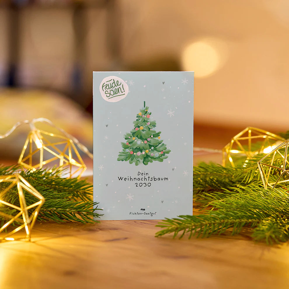 ST Fichten-Saatgut "Weihnachtsbaum 2030"