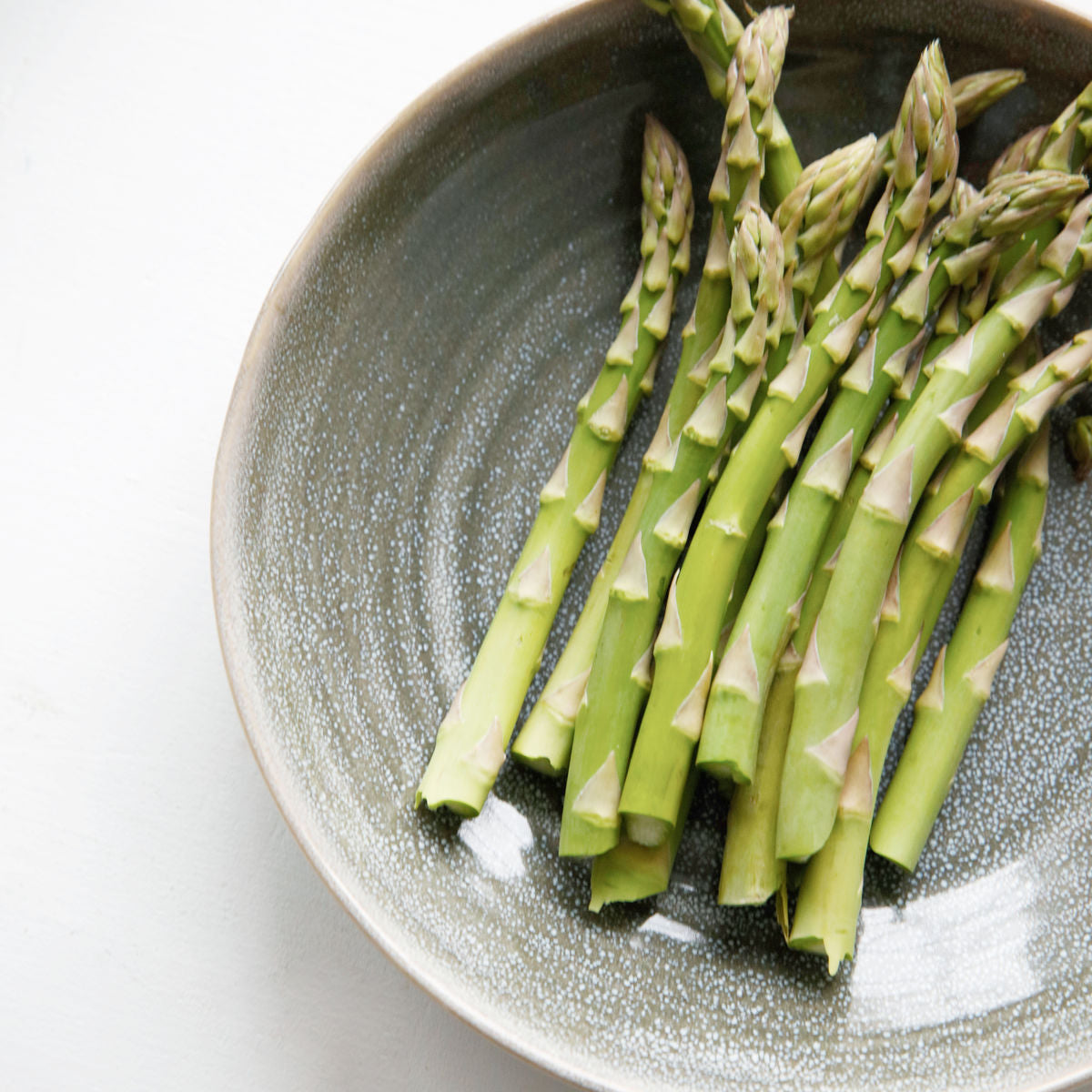 Rustic Plate Nord Blue/Green