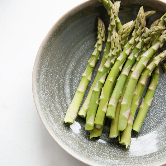 Rustic Plate Nord Blue/Green
