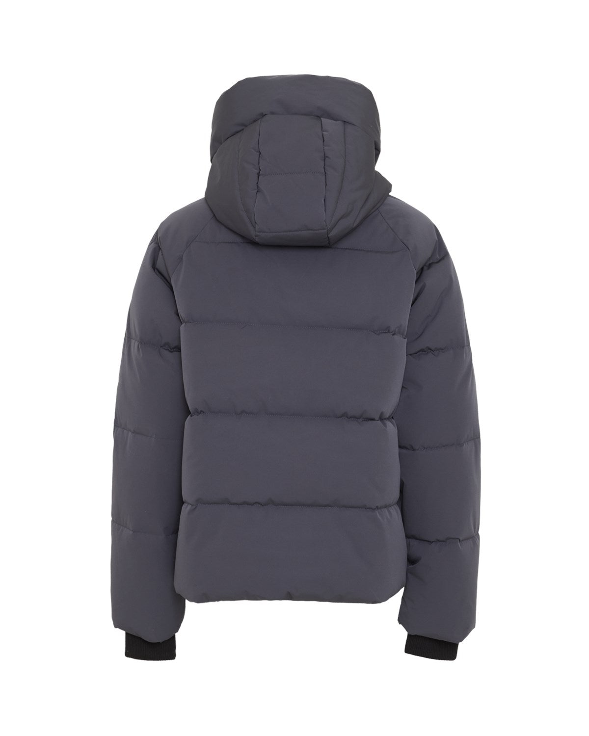 MSCHPavinaria Short Jacket India Ink